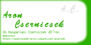 aron csernicsek business card